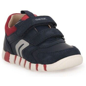 Geox Zapatillas C0735 Iupidoo para niña