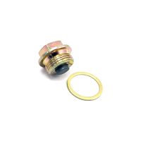 perno de aceite del motor m18x15 acero magnetico