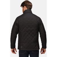regatta professional cazadora tyler para hombre