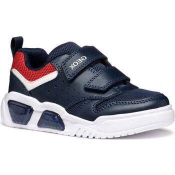 Geox Zapatillas - para niño