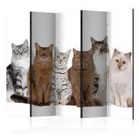 biombo - sweet cats ii 225x172 cm