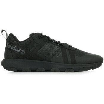 Timberland Deportivas Moda Winsor Trail Lace Up para hombre