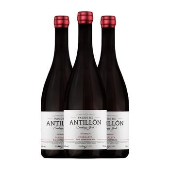 The Wine Hunter Vino Tinto Pagos De Antillón Somontano 75 Cl 14% Vol. (pack De 3 Unidades)