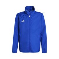 adidas teamwear windready chaqueta para correr ninos-azul