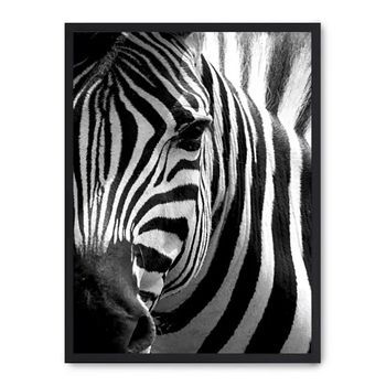 Cuadro Zebra Close Up