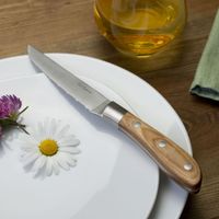 estuche de 6 cuchillos para carne de madera de pakka acero inoxidable