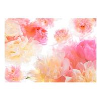 papel pintado 3d - peonias pastel 200x140 cm