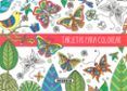 tarjetas para colorear (s6029001)