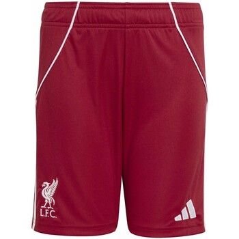 adidas Short niño Lfc H Sho Y para niño