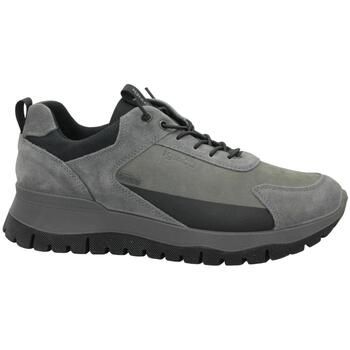 IgI&CO Zapatos Hombre IGI-I26-2141633-AN para hombre