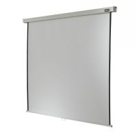 celexon professional pantalla de proyeccion manual mural 280x280cm