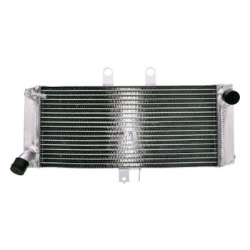 Refrigerador motor Suzuki GSF 1250 Bandit agua