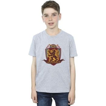 Harry Potter Tops y Camisetas Gryffindor para niño