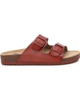 de refresh 171962 camel