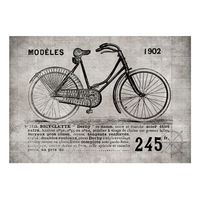 papel pintado 3d - bicycle vintage 350x245 cm