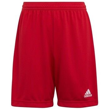 adidas Short niño Entrada 22 para niño