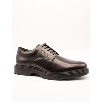 Stonefly Zapatos Hombre 219804-M94 para hombre