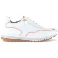 gabor zapatillas 66379 para mujer