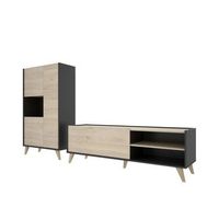 conjunto salon con modulo alto y mueble bajo tv funcional