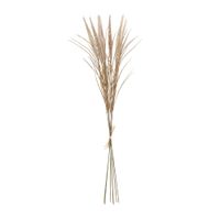 ramo de pampa 7 tallos artificial beige h80