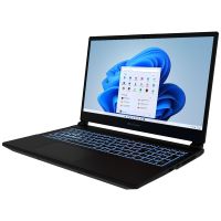 pccom revolt 5050 amd ryzen 7 260 156 16gb500gbwindows home