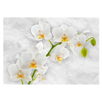 Papel Pintado 3d - Orquídea Lírica - Blanco (250x175 Cm)