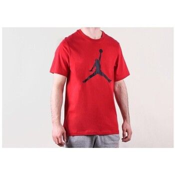 Nike Camiseta Air Jordan Iconic para hombre
