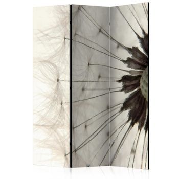 Biombo - White Dandelion (135x172 Cm)