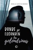 donde se esconden las golondrinas