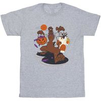 dessins animes camiseta nsters para nina