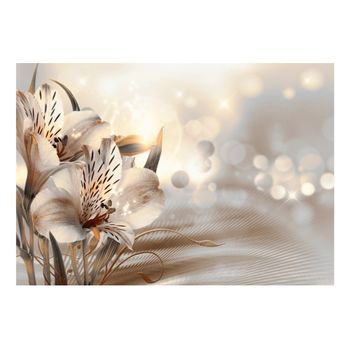 Papel Pintado 3d - Princesses Of The Morning (350x245 Cm)