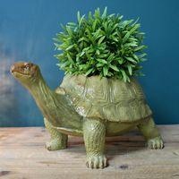 tortoise planter