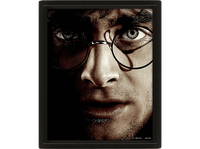 poster 3d - sherwood harry potter papel brillo