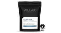 complemento alimenticio colageno reparador pilar   260 g