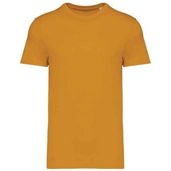 Native Spirit Camiseta NS305 para mujer