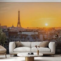 papel pintado paris romantico  364x270cm