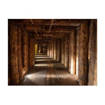 Papel Pintado 3d - Wooden Passage (300x231 Cm)