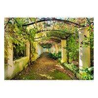 papel pintado 3d - pergola 300x210 cm