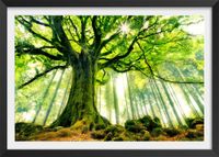 poster naturaleza haya de ponthus con marco negro 60x40cm