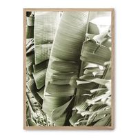 cuadro details of banana leaves i