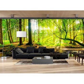 Fotomural Vinilo Bosque Primavera 400 X 300 Cm
