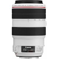 Canon EF 70-300mm f/4-5.6L IS USM