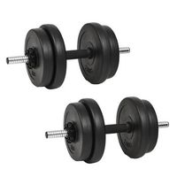 mancuernas con discos 40 kg vidaxl