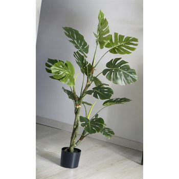 Planta Split Philo 140 Cms. 140 Cms