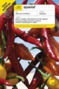 Teach Yourself Spanish Pack (incluye 2 Audiobook Cd) (5th Ed.)