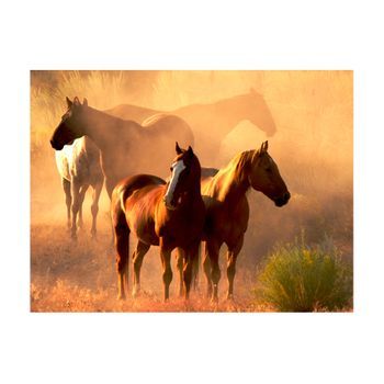 Papel Pintado 3d - Caballos Selvajes En Estepa (250x193 Cm)