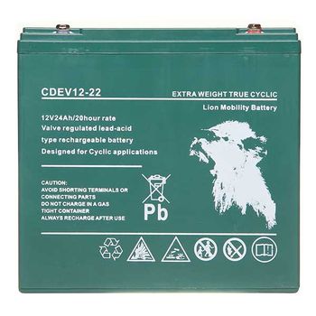AGM 12V 22AH Sealed Deep Cycle
