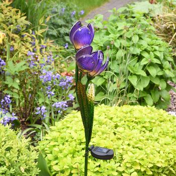 Solar Crocus Stake Light