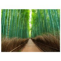 impresion en lienzo - arashiyama bamboo forest - cm70x100