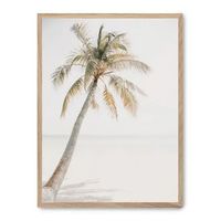 cuadro palm beach iii